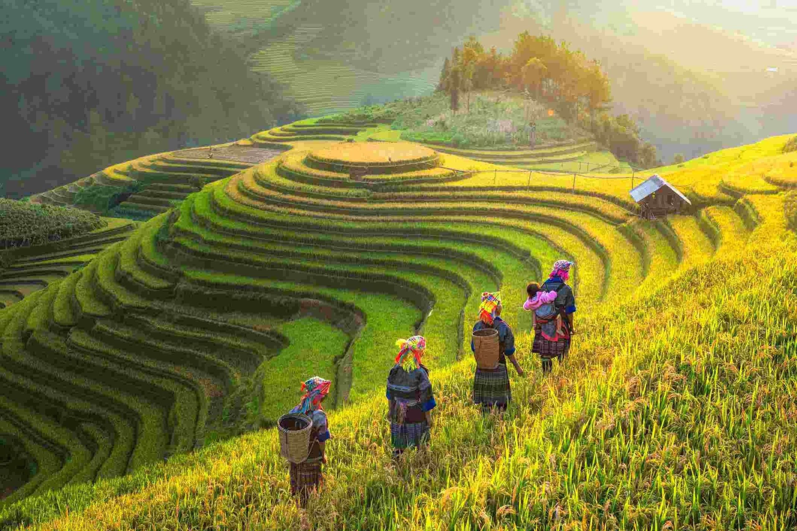 Việt Nam lần thứ 6 được vinh danh “Điểm đến Di sản Hàng đầu Thế Giới” tại World Travel Awards 2025 – Bản lĩnh của một nền du lịch vươn tầm quốc tế